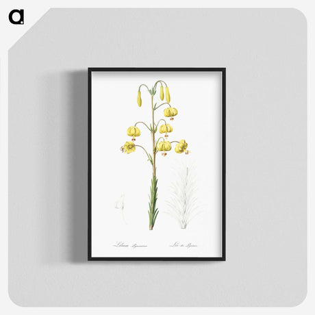 3-13_The-Lilies_blk-crop