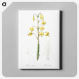 3-13_The-Lilies_canvas