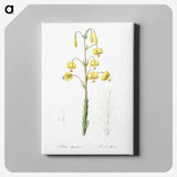 3-13_The-Lilies_canvas