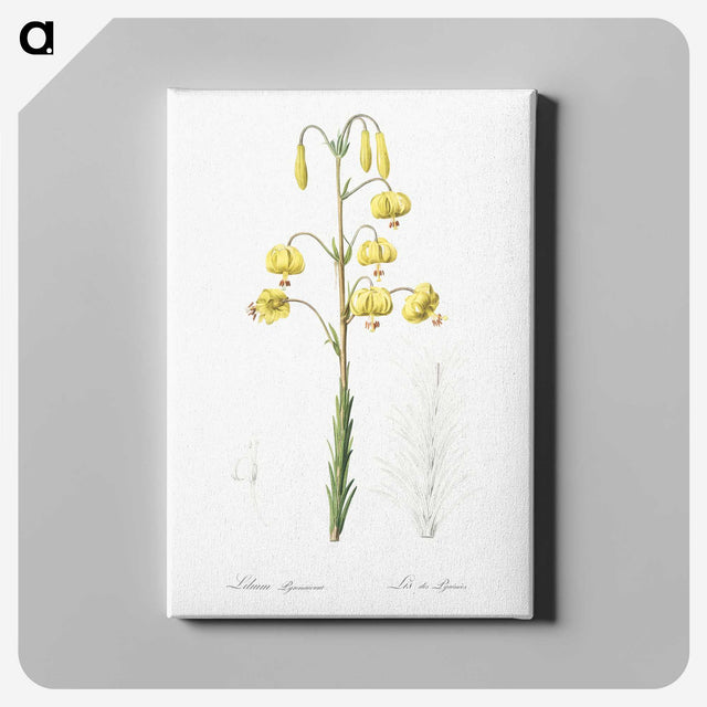 3-13_The-Lilies_canvas