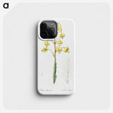 3-13_The-Lilies_phone