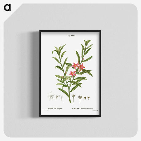 3-13_Treatise-on-Trees-and-Shrubs_blk-crop