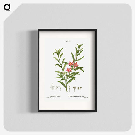 3-13_Treatise-on-Trees-and-Shrubs_blk