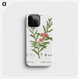 3-13_Treatise-on-Trees-and-Shrubs_phone