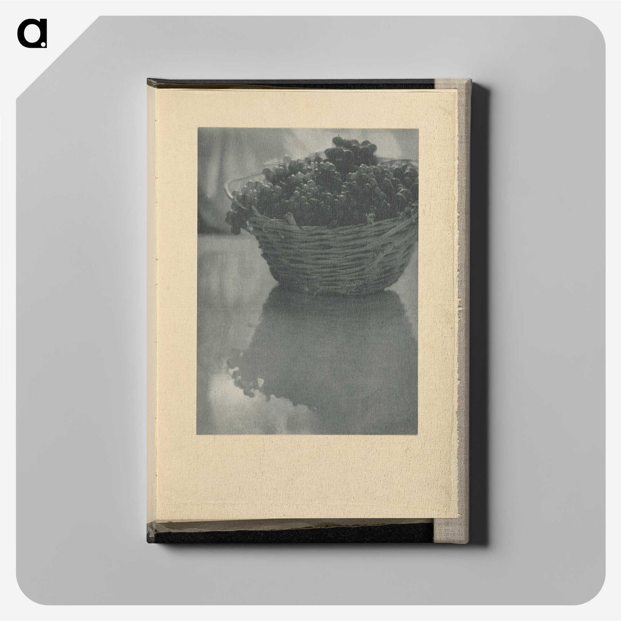 3-14_Alfred-Stieglitz_canvas