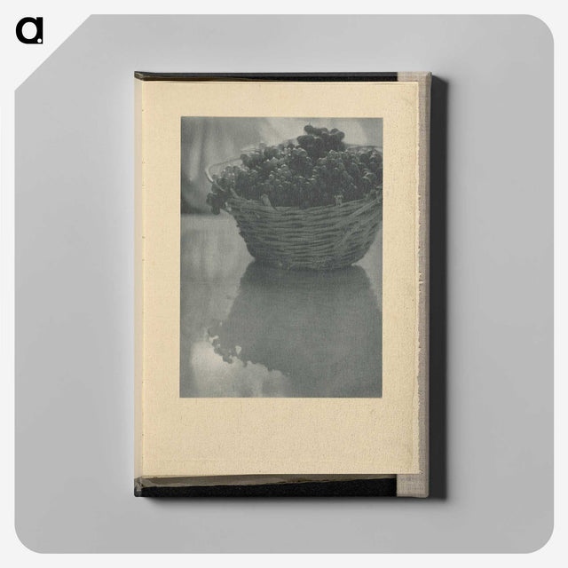 3-14_Alfred-Stieglitz_canvas
