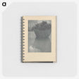 3-14_Alfred-Stieglitz_memo