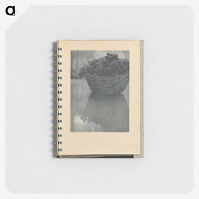 3-14_Alfred-Stieglitz_memo