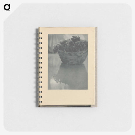 3-14_Alfred-Stieglitz_memo