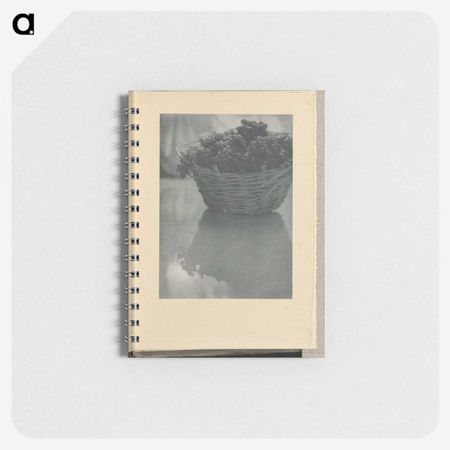 3-14_Alfred-Stieglitz_memo