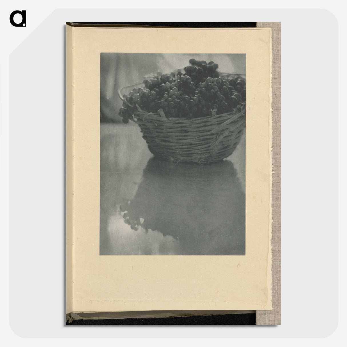 3-14_Alfred-Stieglitz_picture-crop