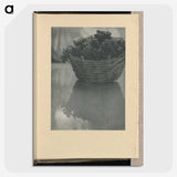 3-14_Alfred-Stieglitz_picture-crop