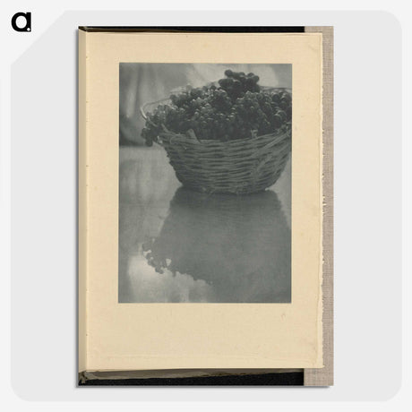 3-14_Alfred-Stieglitz_picture-crop