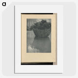 3-14_Alfred-Stieglitz_picture