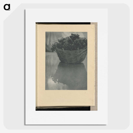 3-14_Alfred-Stieglitz_picture