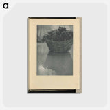 アートポストカード-Still Life - アルフレッド スティーグリッツ Postcard.