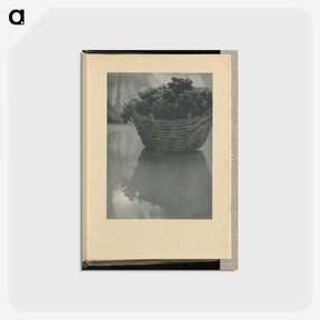 3-14_Alfred-Stieglitz_postcard