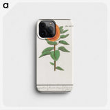 3-14_Anselmus-Boetius-de-Boodt_phone