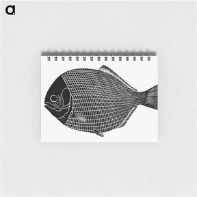 アートメモ帳-Fish from Manual Of Geology
 - 大英図書館 Memo.