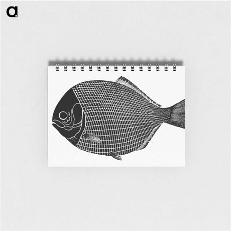 アートメモ帳-Fish from Manual Of Geology
 - 大英図書館 Memo.