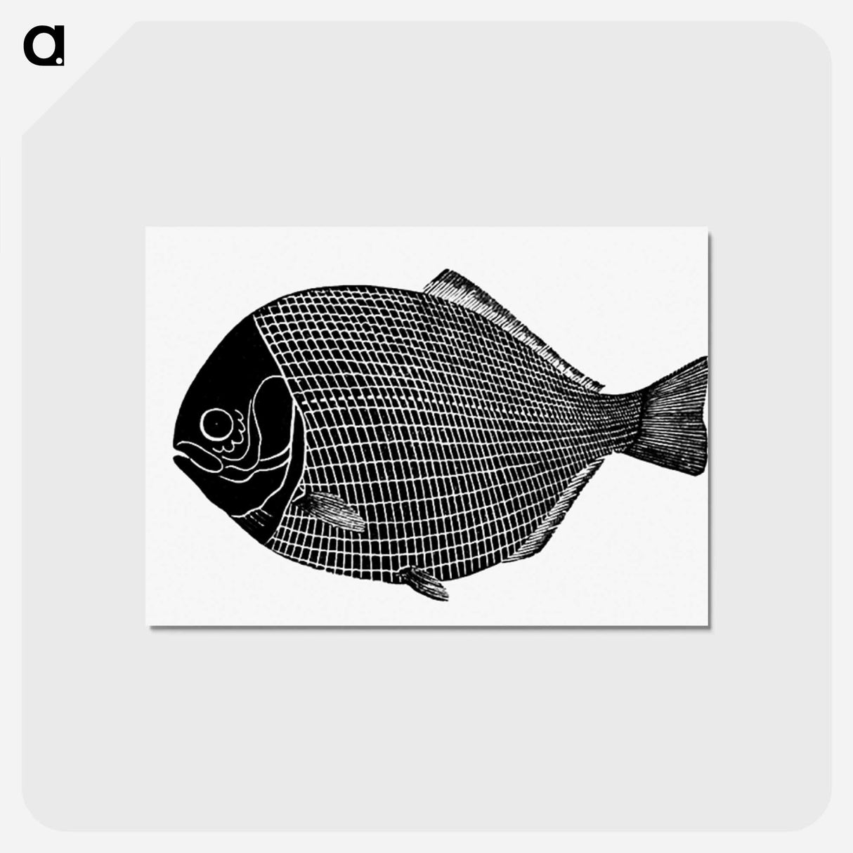 アートポストカード-Fish from Manual Of Geology
 - 大英図書館 Postcard.