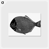 アートポストカード-Fish from Manual Of Geology
 - 大英図書館 Postcard.