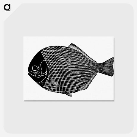 アートポストカード-Fish from Manual Of Geology
 - 大英図書館 Postcard.