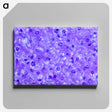 3-14_COVID-19_canvas