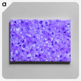 3-14_COVID-19_canvas