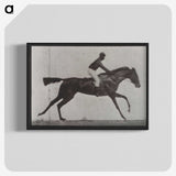 3-14_Eadweard-Muybridge_blk-crop