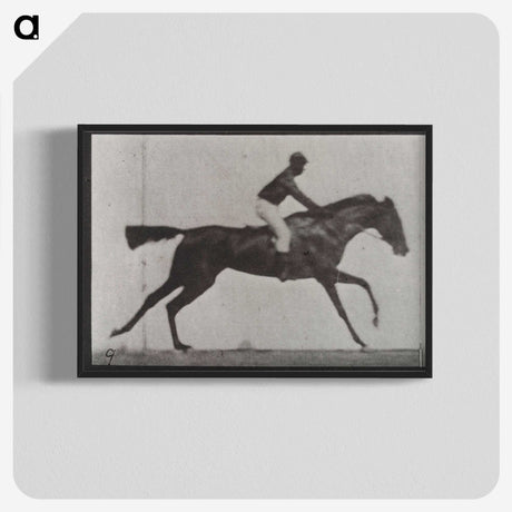 3-14_Eadweard-Muybridge_blk-crop