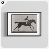3-14_Eadweard-Muybridge_blk