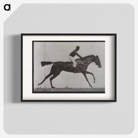 3-14_Eadweard-Muybridge_blk