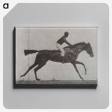 3-14_Eadweard-Muybridge_canvas