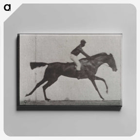 3-14_Eadweard-Muybridge_canvas