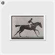 アートポストカード-Galloping Horse and Rider
 - エドワード マイブリッジ Postcard.