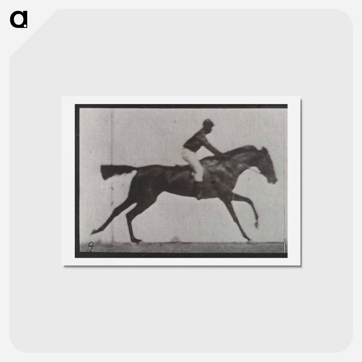 アートポストカード-Galloping Horse and Rider
 - エドワード マイブリッジ Postcard.