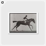 アートポストカード-Galloping Horse and Rider
 - エドワード マイブリッジ Postcard.
