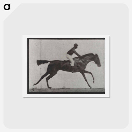 アートポストカード-Galloping Horse and Rider
 - エドワード マイブリッジ Postcard.