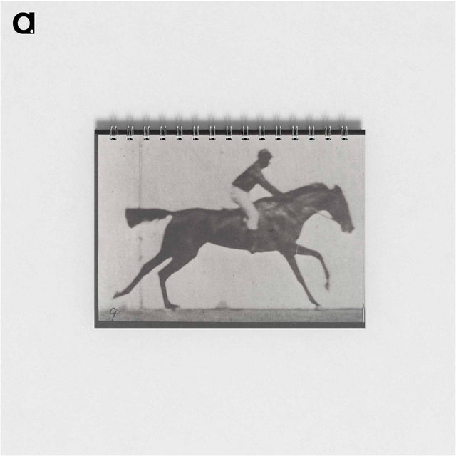 アートメモ帳-Galloping Horse and Rider
 - エドワード マイブリッジ Memo.