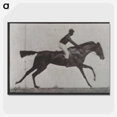 3-14_Eadweard-Muybridge_picture-crop
