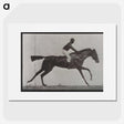 3-14_Eadweard-Muybridge_picture