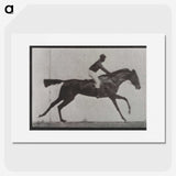 3-14_Eadweard-Muybridge_picture