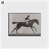 アートポストカード-Galloping Horse and Rider
 - エドワード マイブリッジ Postcard.