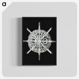 3-14_Ernst-Haeckel_blk-crop