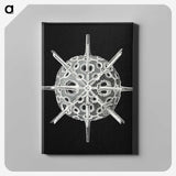 3-14_Ernst-Haeckel_canvas