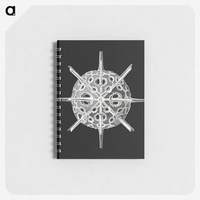 3-14_Ernst-Haeckel_memo
