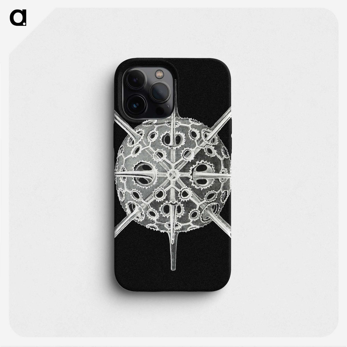 3-14_Ernst-Haeckel_phone