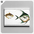 3-14_Ichtyologie-ou-Histoire-naturelle_canvas