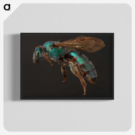 3-14_Insects-Unlocked-Project_blk-crop